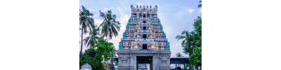 263. திருவிடைச்சுரம்
